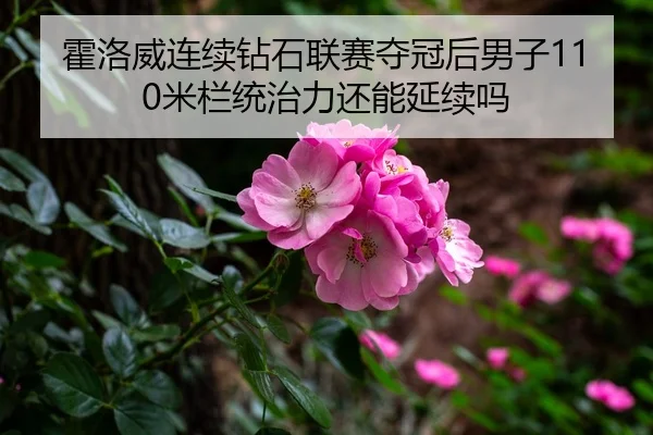 huo-luo-wei-lian-xu-zuan-shi-lian-sai-duo-guan-hou-nan-zi-mi-lan-tong-zhi-li-hai-neng-yan-xu-ma-1-788.jpg
